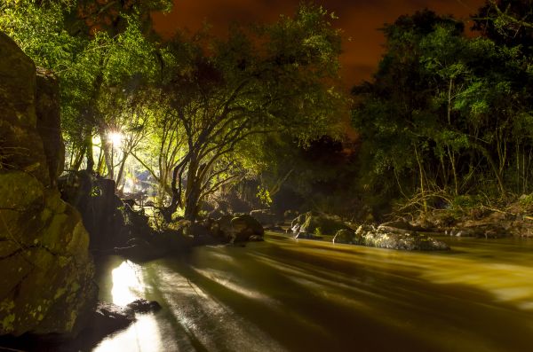 Landschaft, Baum, Wasser, Natur, Wald, Licht