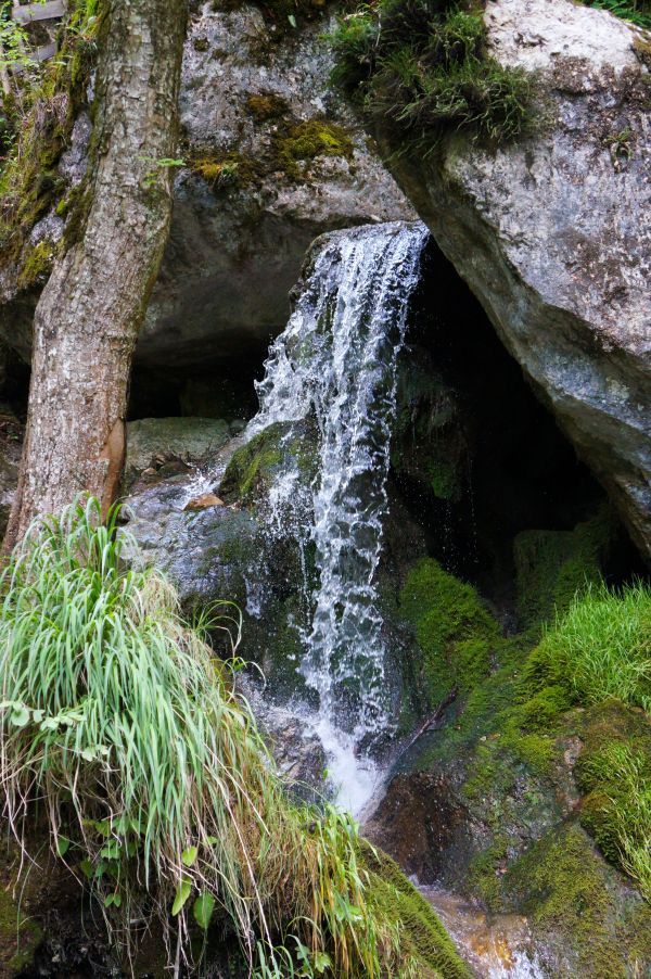 pohon, air, alam, batu, air terjun, gurun