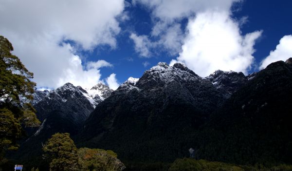 landscape, tree, nature, rock, wilderness, mountain