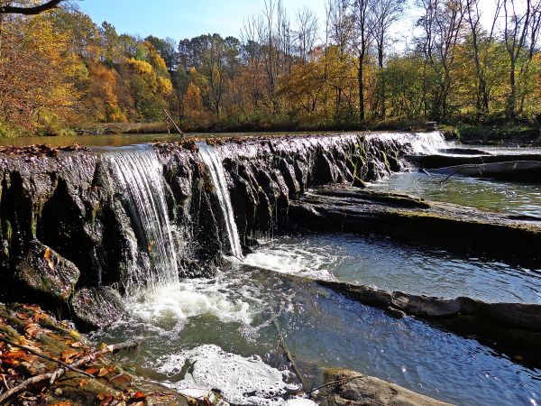 風景, 木, 水, 自然, 森林, 滝