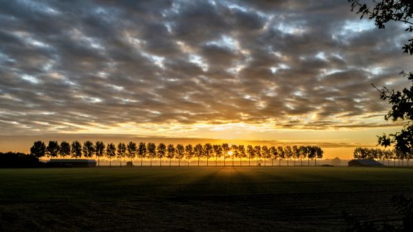 landschap,zee,natuur,buitenshuis,horizon,licht