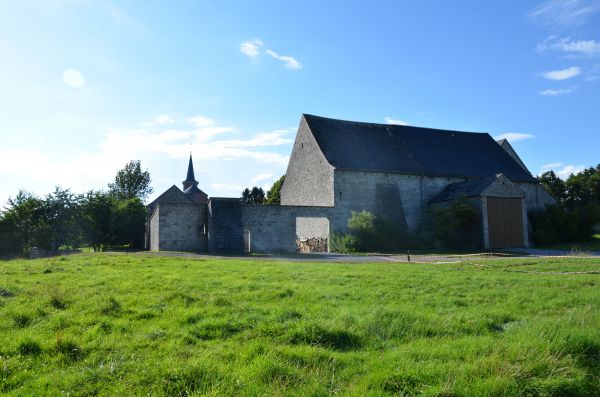 landschap,boom,gras,wolk,hemel,veld-