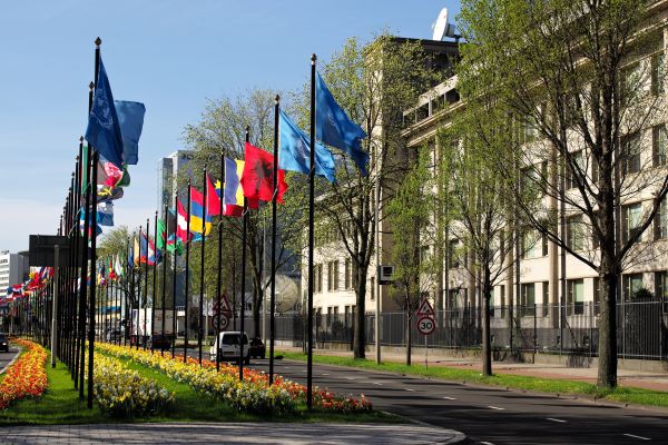 city,pedestrian,road,street,town,cityscape