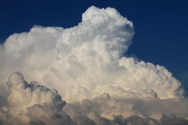 nuage,ciel,atmosphère,été,Météo,cumulus