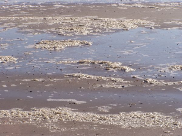 de praia, mar, costa, areia, oceano, neve