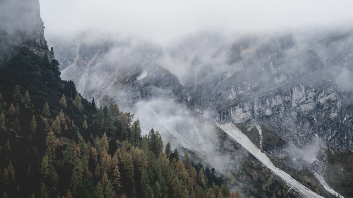 les, divočina, hora, mlha, mlha, dobrodružství, údolí, Pohoří, počasí, hřbet, vrcholek, přírodní elevace, misty forest, Alpy, cirkus, landform, horský průsmyk, geografický rys, atmosférický jev, horských reliéf, geologický fenomén