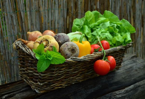 plantă,alimente,salată,legume şi fructe,fruct,recolta