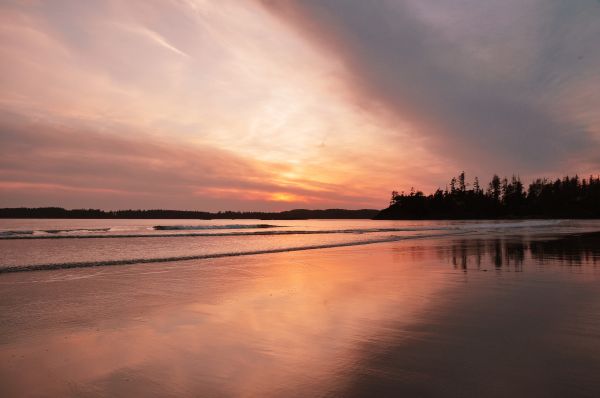 landscape,sea,water,beach,coast,sand