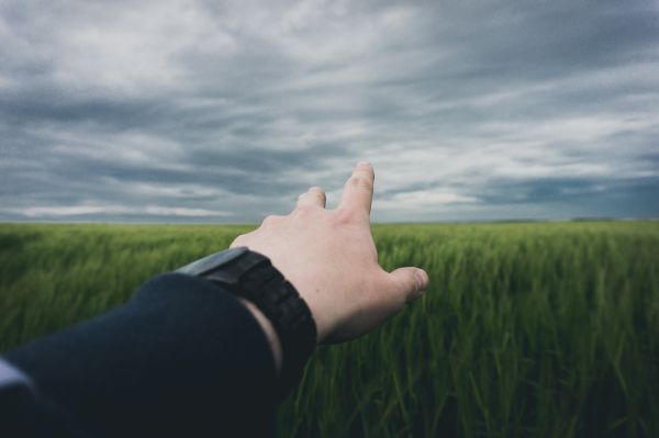 mano,natura,orizzonte,nube,cielo,erba