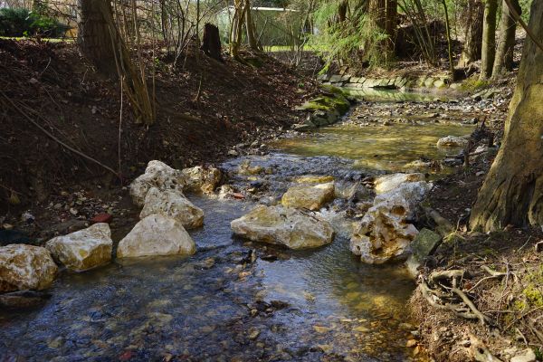 apă, natură, pădure, stâncă, cascadă, pârâu