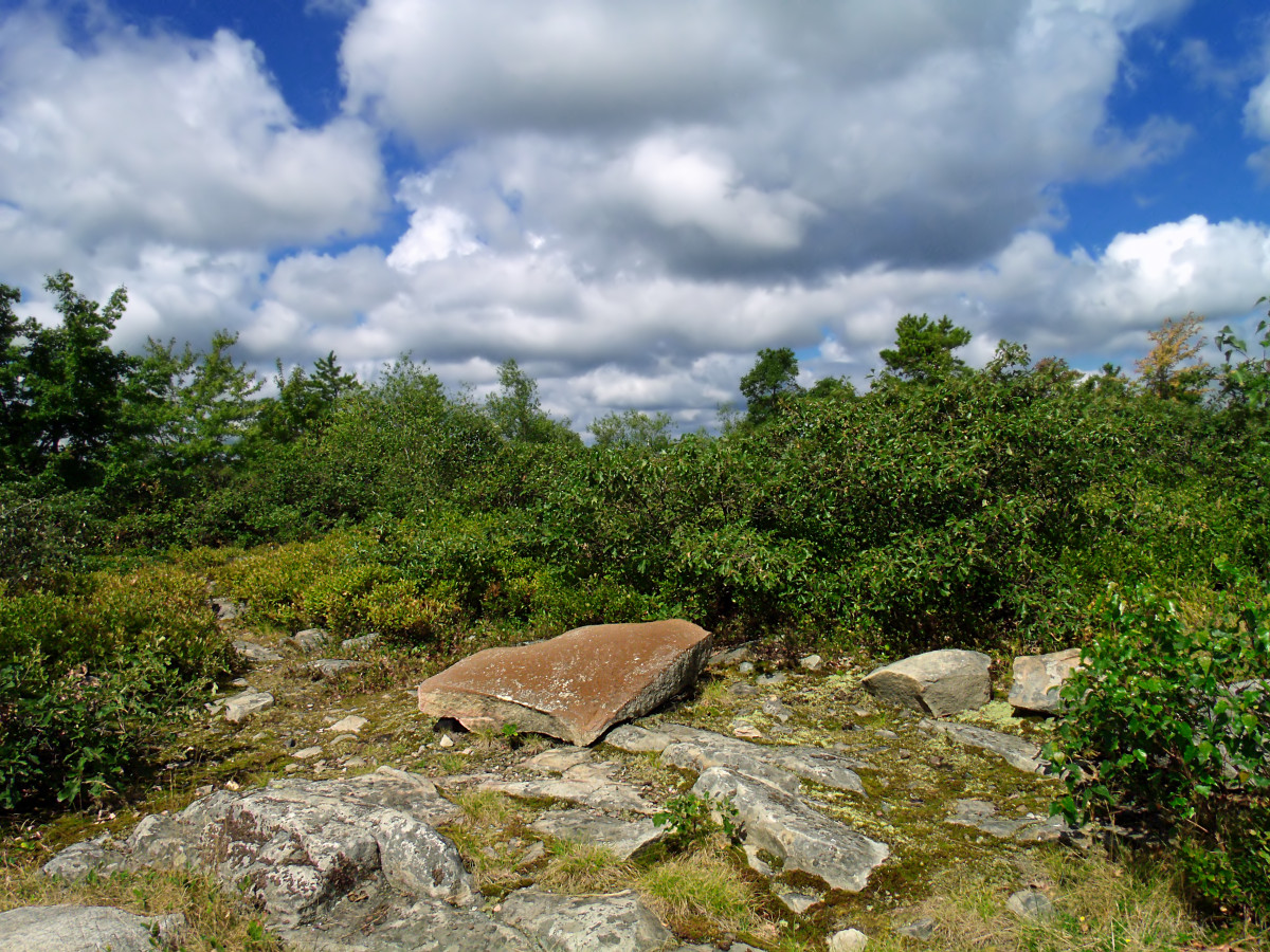 pemandangan, pohon, alam, hutan, rumput, batu, gurun, gunung, awan, langit, bukit, Pegunungan, musim panas, medan, punggung bukit, pohon, batuan, creativecommons, awan-awan, geologi, Pegunungan appalachian, poconos, stratocumulus, pennsylvania, barrens, luzernecounty, lackawannacounty, lackawannastateforest, pinchotstateforest, batu, pitchpines, Pinehill, pinehillvista, dataran, scruboaks, conglomeraterocks, habitat, ekosistem, daerah pedesaan, lingkungan alami, fitur geografis, bentang alam pegunungan