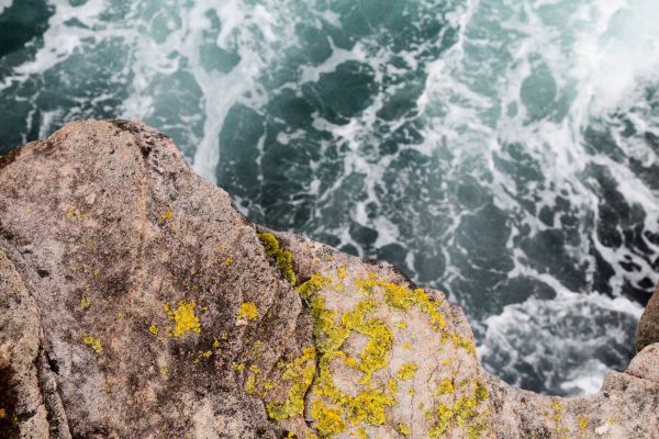 mare, costa, acqua, natura, roccia, oceano