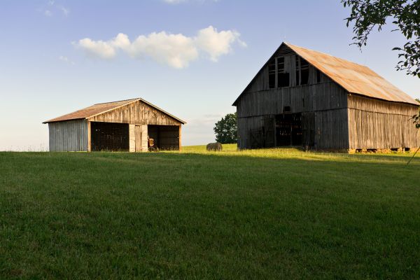 landscape, nature, sky, farm, vintage, field