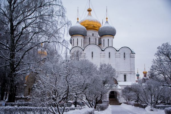 здание,снег,зима,Погода,Церковь,время года