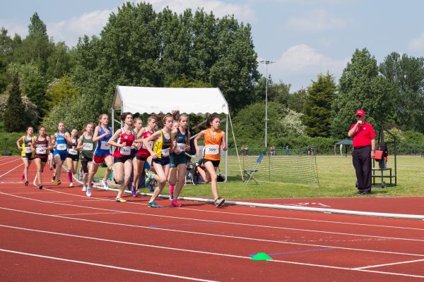 al aire libre, pista, campo, corriendo, Europa, alto