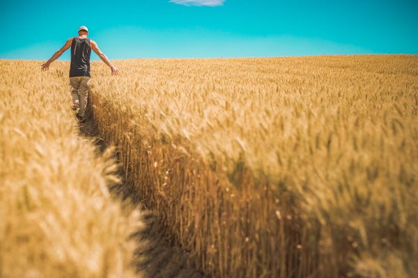 homme,paysage,la nature,chemin,herbe,le sable