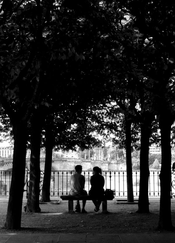 arbre,silhouette,lumière,noir et blanc,blanc,nuit