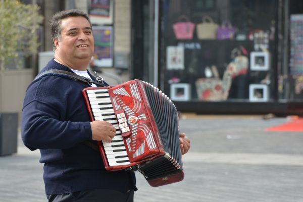 człowiek, muzyka, grać, instrument, muzyk, instrument muzyczny