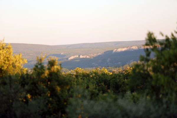 Landschaft, Baum, Natur, Gras, Wildnis, Berg