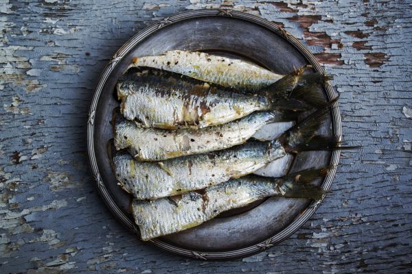 海, 膳食, 餐饮, 地中海, 盘子, 钓鱼