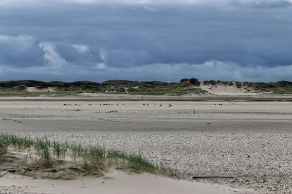 strand, landschap, zee, kust, buitenshuis, zand