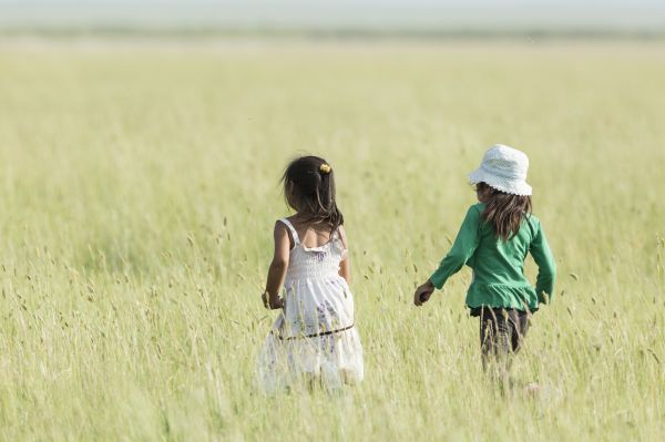 herbe,champ,Prairie,prairie,surgir,agriculture