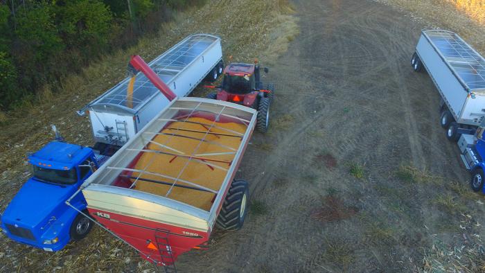 Loading grain wagon.