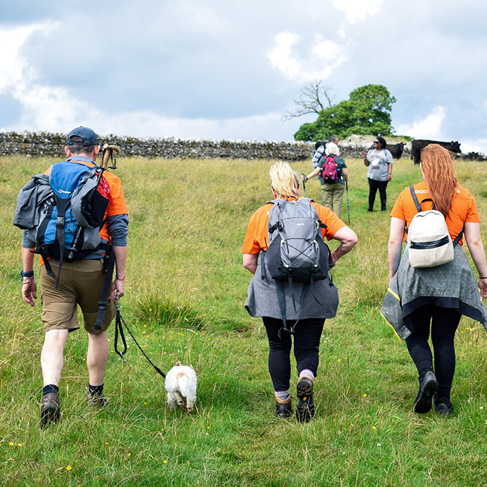 MINDFUL WALKING