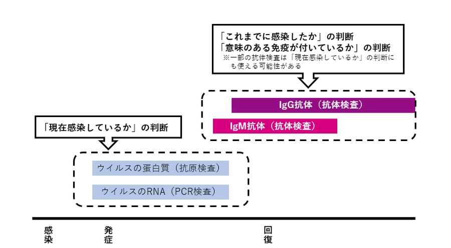 図1　PCR検査、抗原検査、抗体検査の位置付けのイメージ