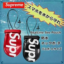 ★ Supreme ★  SealLine See Pouch Large WEEK 16 SS 18