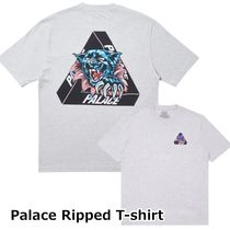 [パレス] Palace skate boards Ripped T-Shirt FW 19