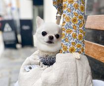 louisdogルイスドッグ小型犬 スプレンディドスリングバックPetit