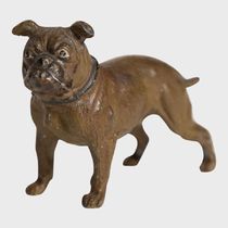 MAXFIELD☆PAINTED BULLDOG☆日本未発売