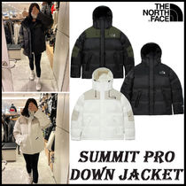 【THE NORTH FACE】SUMMIT PRO DOWN JACKET★正規品★