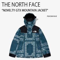 THE NORTH FACE NOVELTY GTX MOUNTAIN JACKET ノースフェイス