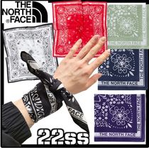 ☆関税込☆THE NORTH FACE★BANDANA - PASLEY★