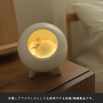 mooas 照明 【MOOAS】充電式★Sleeping Cat Moodlight [3color](4)