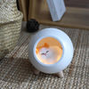 mooas 照明 【MOOAS】充電式★Sleeping Cat Moodlight [3color](11)