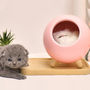 mooas 照明 【MOOAS】充電式★Sleeping Cat Moodlight [3color](12)