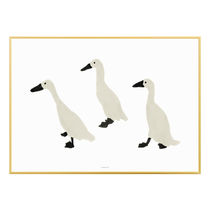 [WARMGREY TAIL]INDIAN RUNNER DUCKS POSTER( 400mm x 300mm)