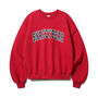 TWN スウェット・トレーナー TWN SNAZZY SWEAT SHIRTS MU6073(17)