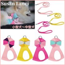 Susan Lanci★ステップインハーネス＆シンプルリードセット