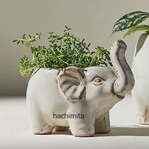 追跡ありTrumpeting Elephant Pot S