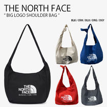 THE NORTH FACE BIG LOGO SHOULDER BAG ノースフェイス バッグ