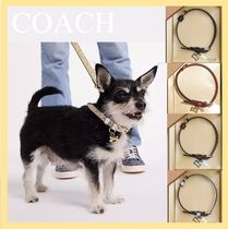 【COACH】BOX入り＊小型犬用 モノグラム柄 骨のチャーム付き首輪