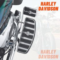 【Harley Davidson】ウィリーG スカル☆フットボード インサート