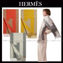 洗練デザイン☆【HERMES】ヘッドトゥテイルズジャケットスカーフ