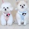 ITS DOG 首輪・ハーネス・リード ITS DOG Disney BABY Friends ANGEL ハーネス 【全2色】(2)