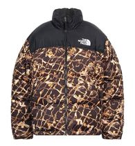 THE NORTH FACE ダウンジャケット