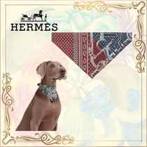 注目！【HERMES】ゴールデンスパー 　ドッグバンダナ L